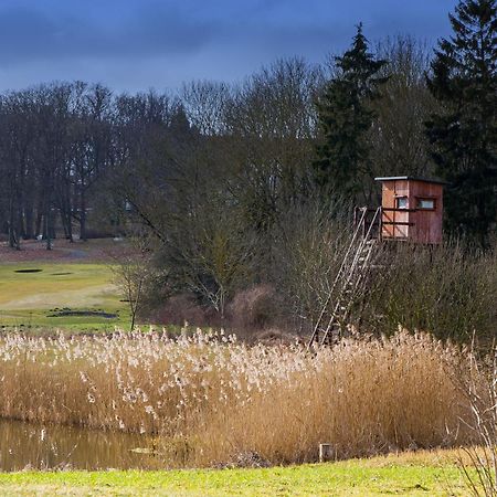 Tiny House Fleesensee Mit Eigenem Garten Und Nur Wenige Meter Vom Seeufer Goehren-Lebbin Ngoại thất bức ảnh